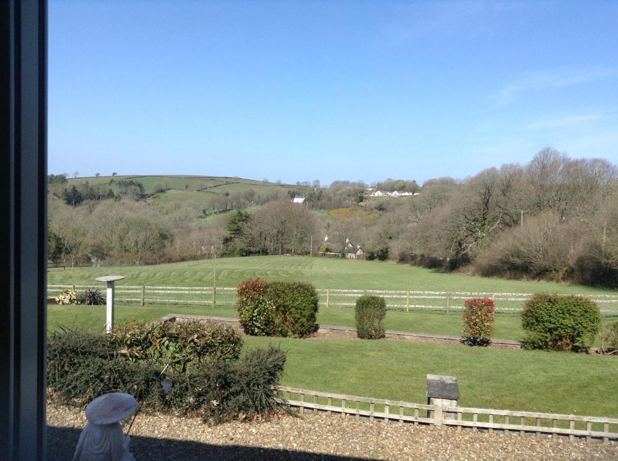 3 Bed Cottage With Hot Tub & Near New Quay Wales Llandysul Exteriér fotografie